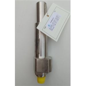 Prosafe派世安全阀紧凑型11系列不锈钢阀体