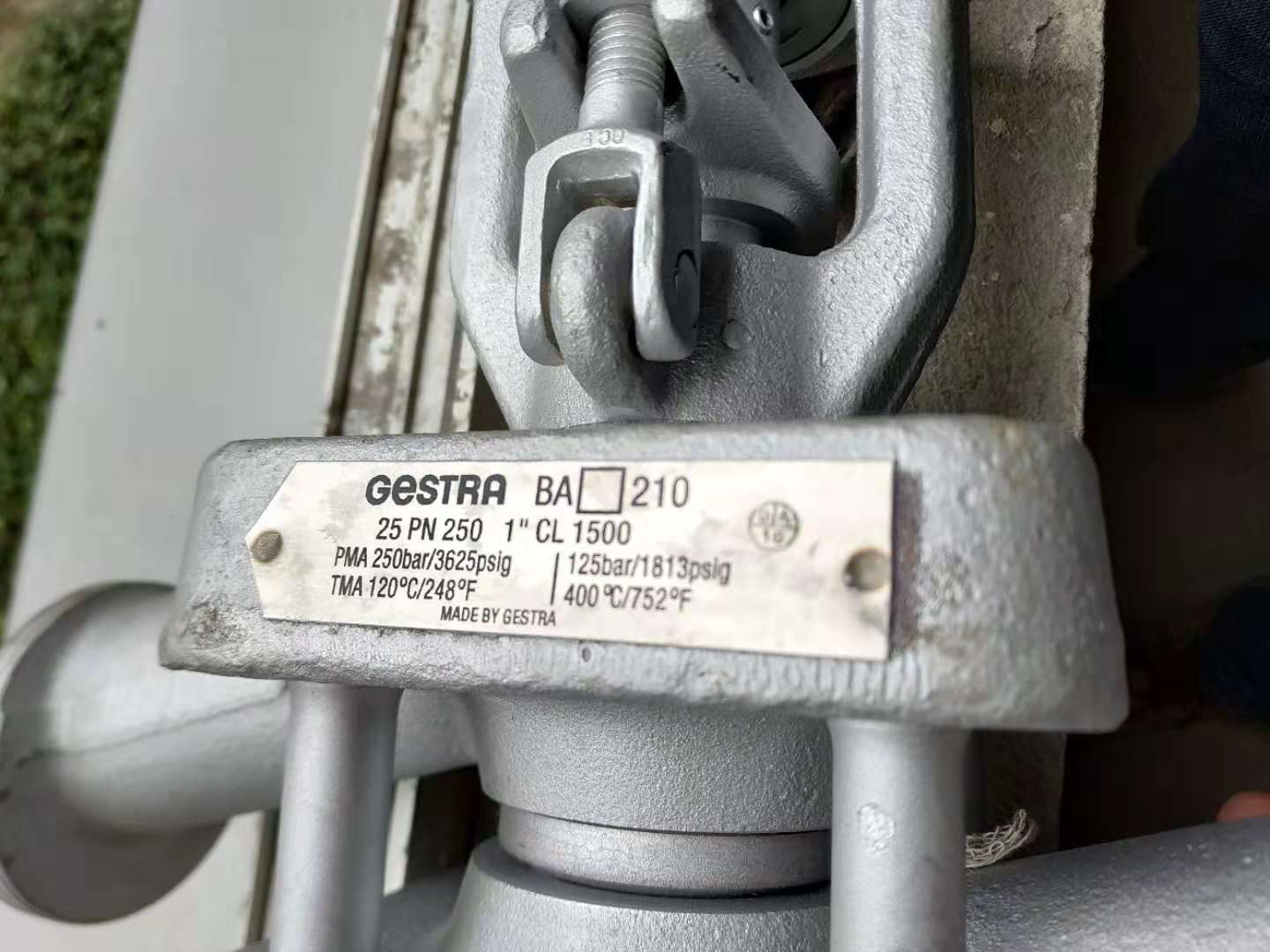 1735493533.jpg 1735493533.jpg