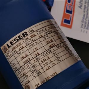 德国leser进口锅炉阀门特殊安全阀