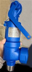 leser安全阀4624.2212/4624.2194压力容器